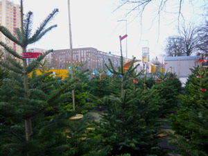 Nordmann Tanne Weihnachtsbaum Verkauf Berlin